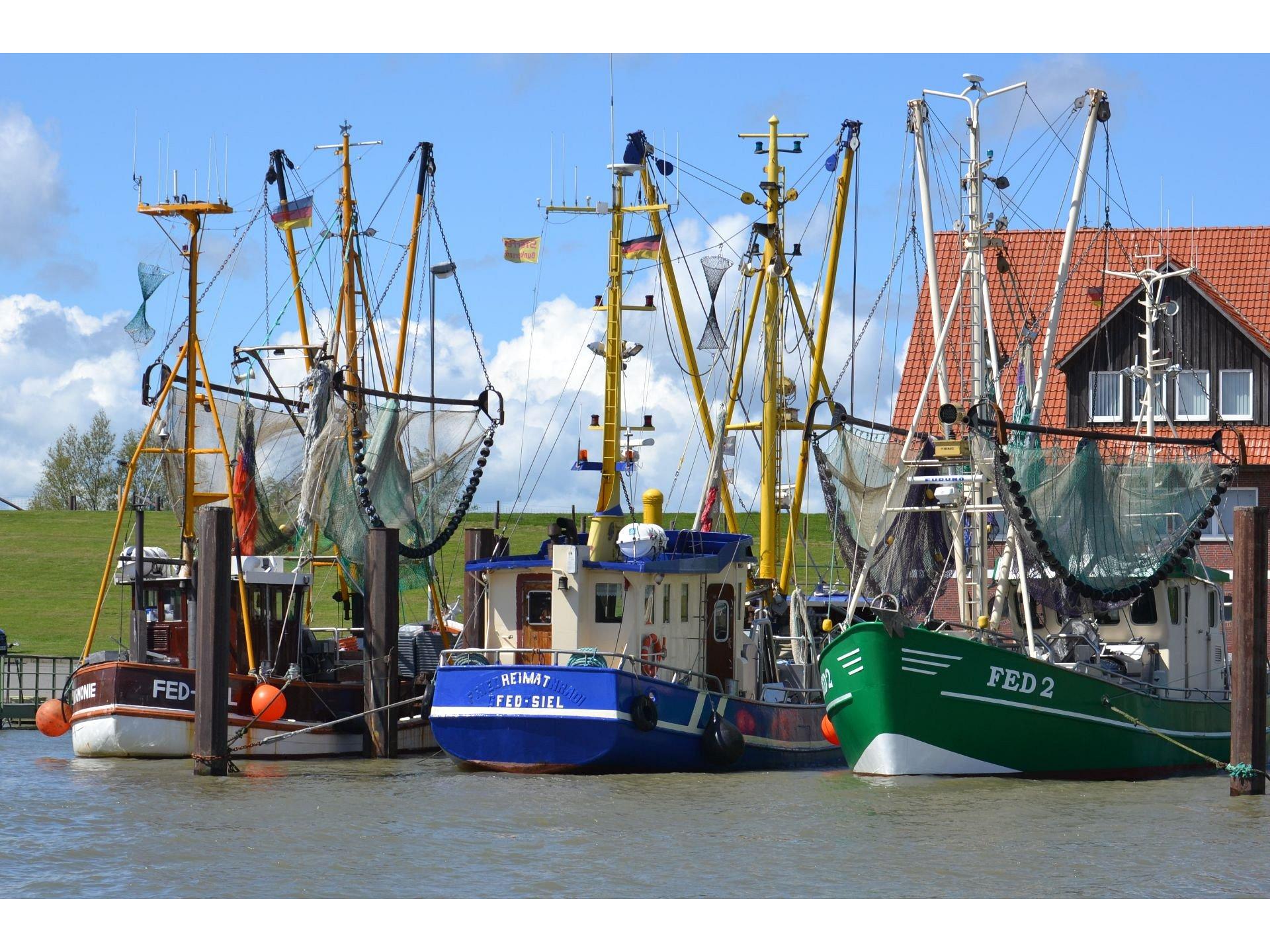 Sielhafen