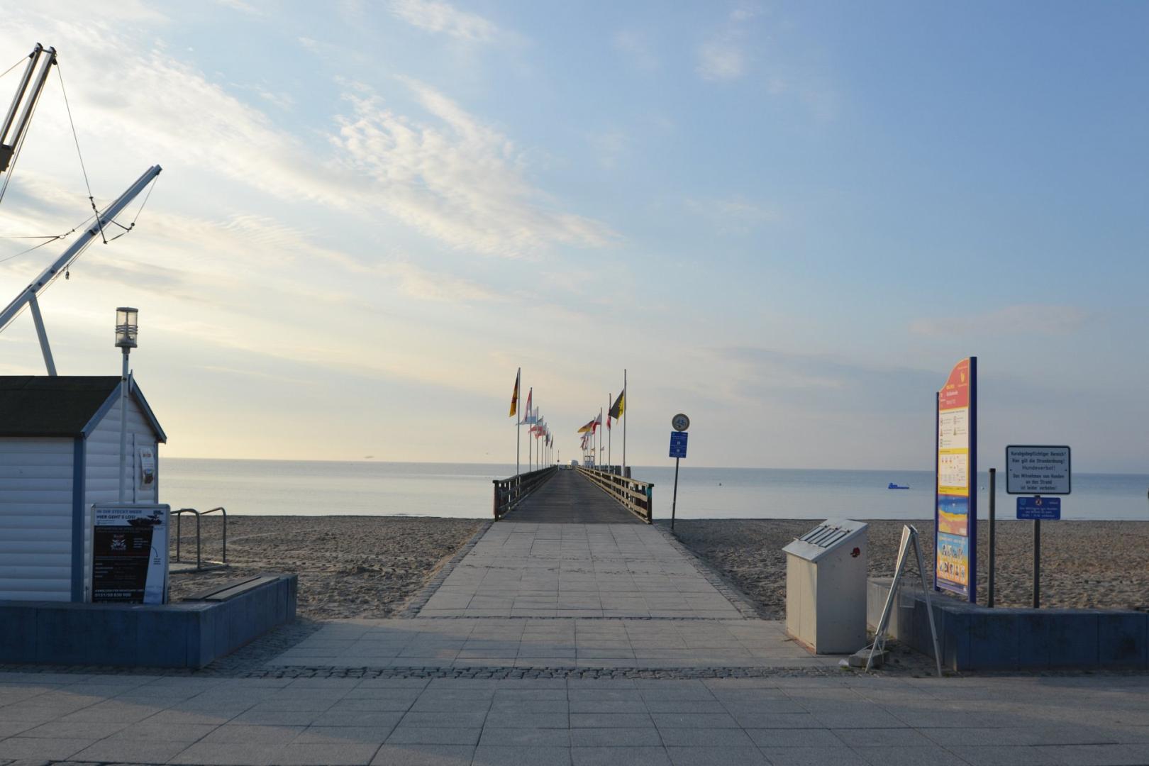  Zwafink - Header